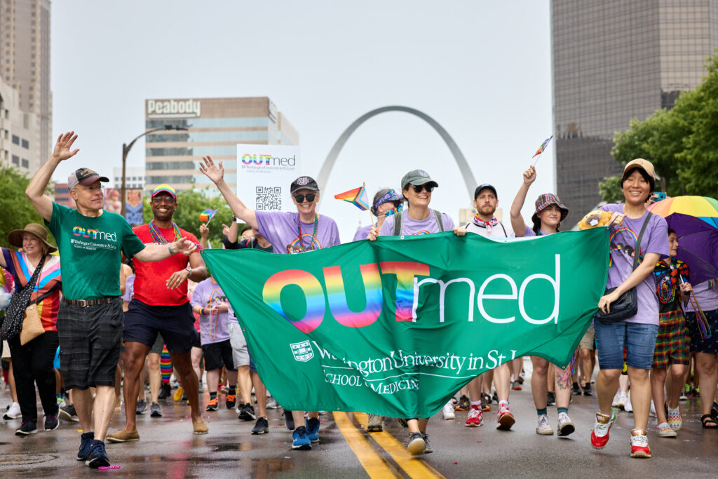 St. Louis Pride Festival & Parade Inclusion, Diversity, Equity